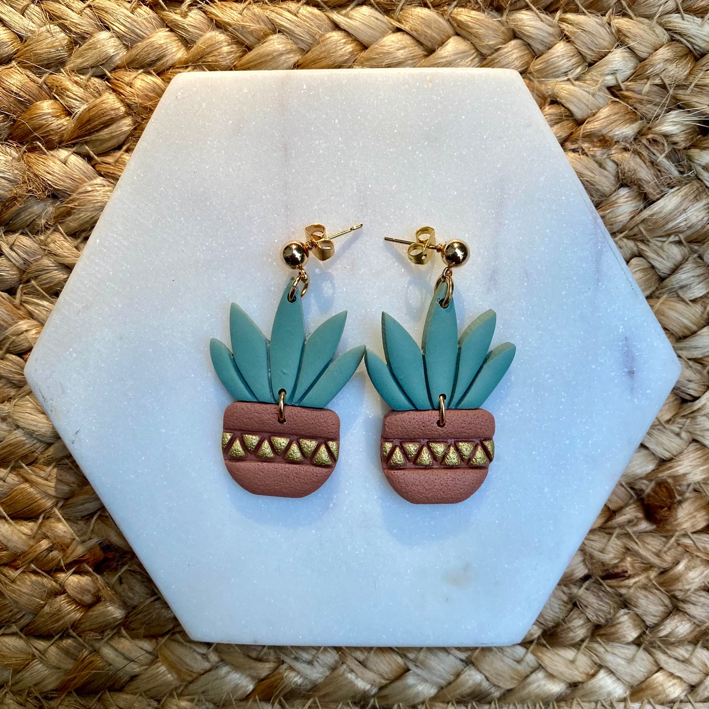 Succulent Plant Earrings, Aloe